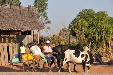 Sambatry