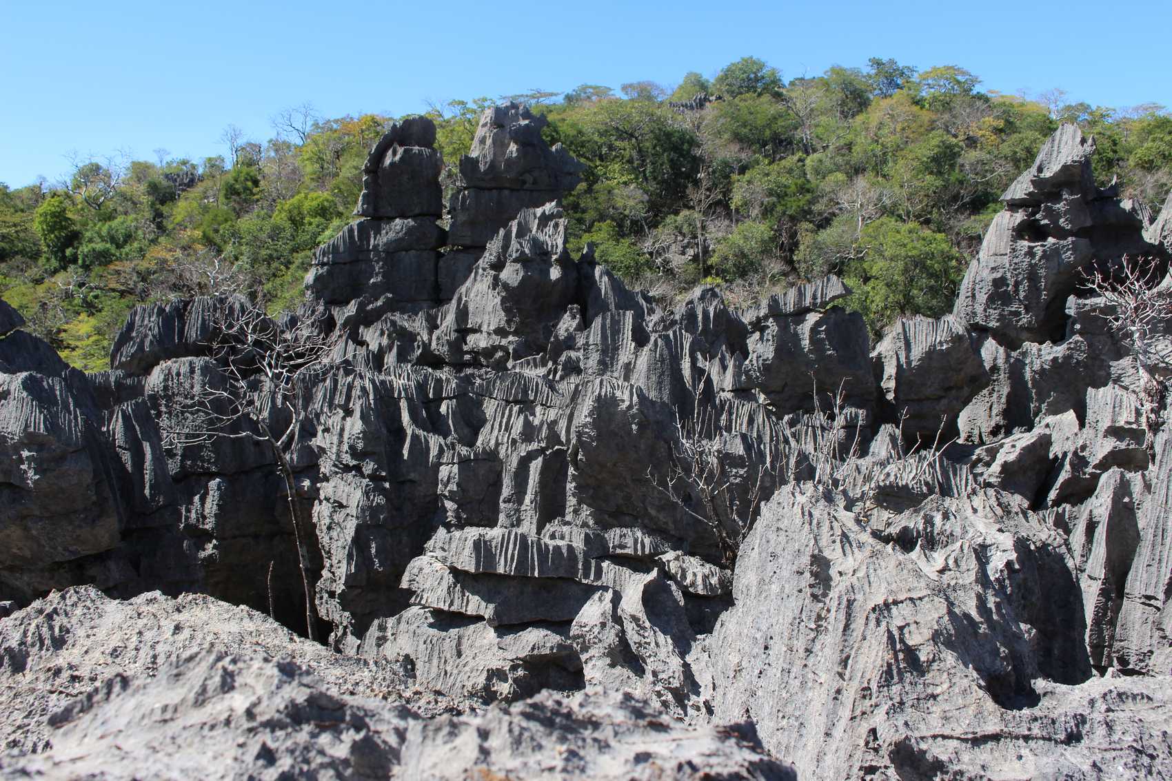 tsingy de bemaraha besuchen tipps